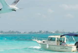 Image representing Cayman Islands
