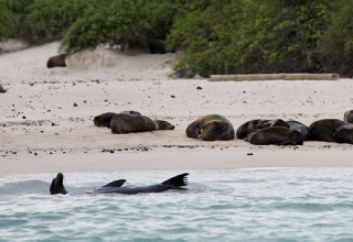 Image representing Ecuador