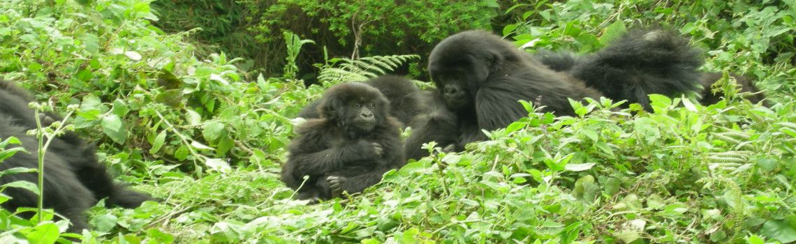 Rwanda